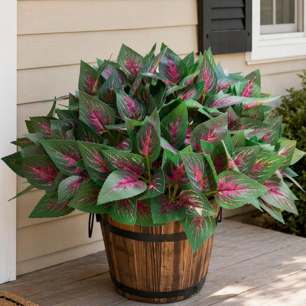 Red Coleus Foliage — product image 1 of 5