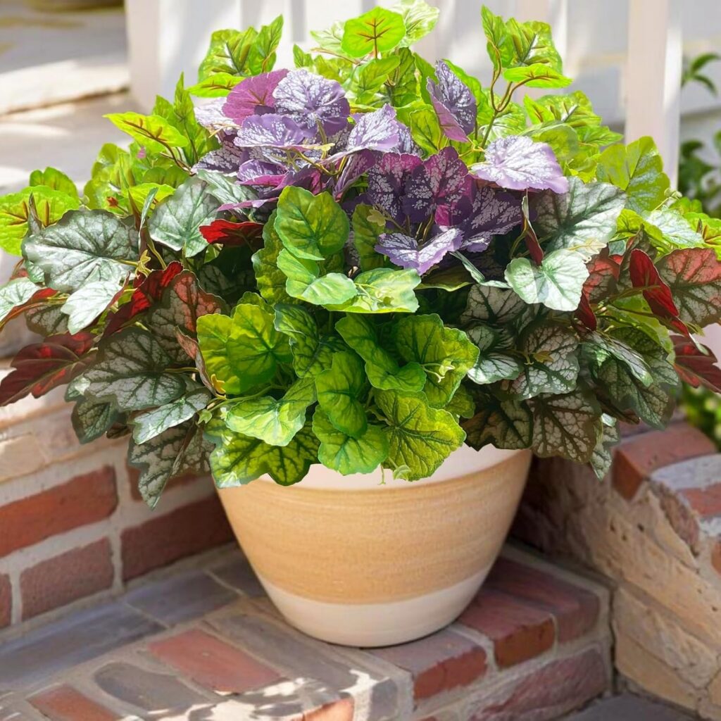 Mixed Heuchera Greenery — product image 1 of 5