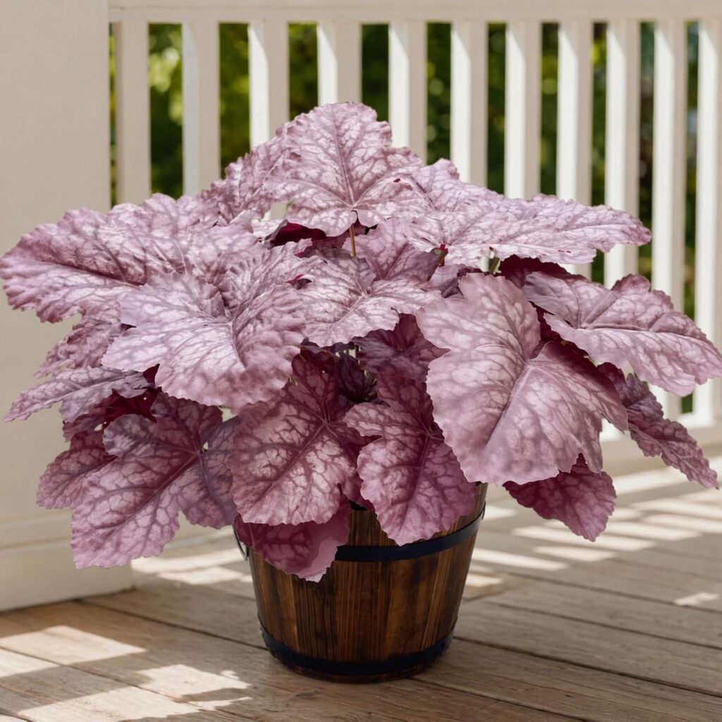 Light Brown Heuchera Foliage — product image 1 of 5